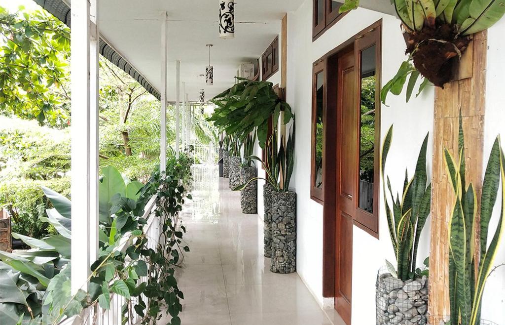 New The Heritage Resort & Restaurant Bukit Lawang Bandartelu 外观 照片